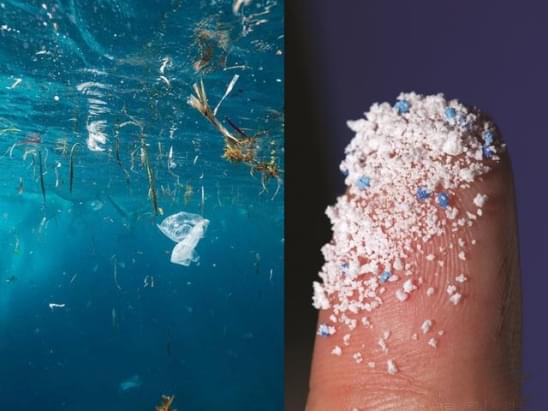 Plastic microparticle